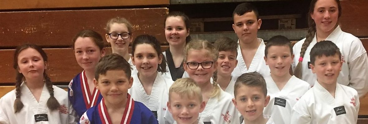 Welsh-Area-April-2018-crop